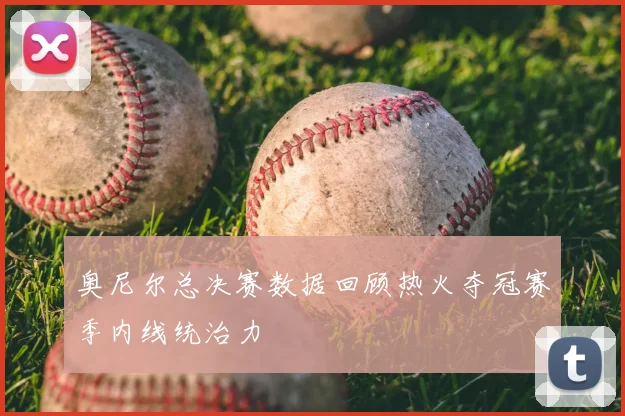 奥尼尔总决赛数据回顾热火夺冠赛季内线统治力