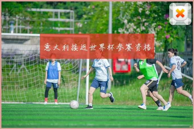 意大利接近世界杯参赛资格