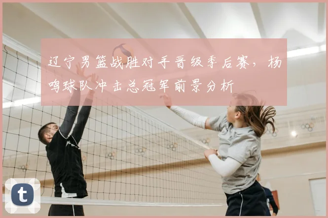 辽宁男篮战胜对手晋级季后赛，杨鸣球队冲击总冠军前景分析