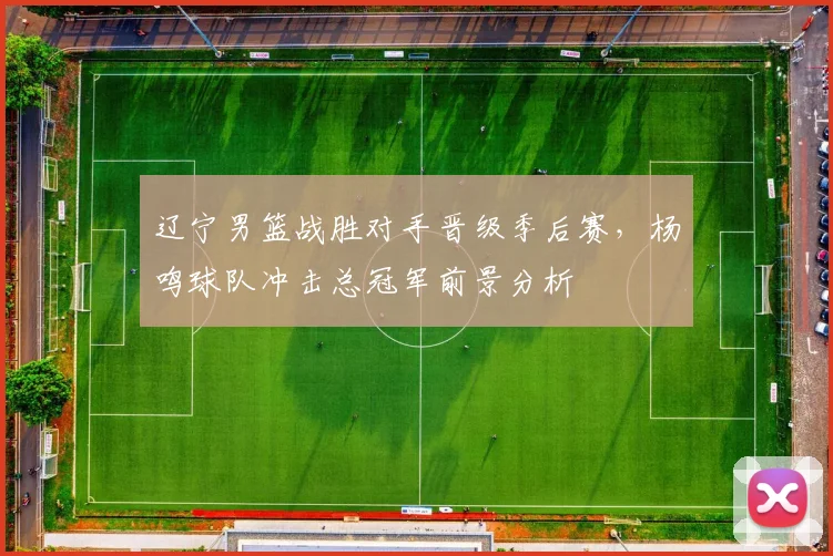辽宁男篮战胜对手晋级季后赛，杨鸣球队冲击总冠军前景分析